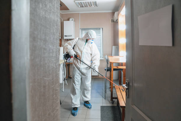 Best Environmental Consulting for Mold Prevention  in Somerset, PA