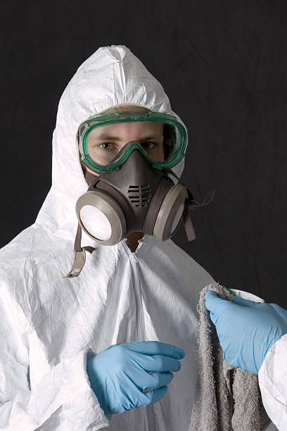 Best Forensic Mold Investigation  in Somerset, PA